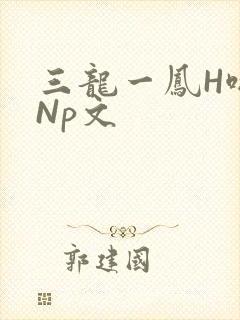 三龙一凤H啪肉Np文