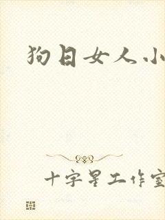 狗日女人小说
