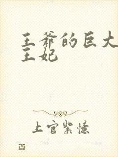 王爷的巨大进入王妃