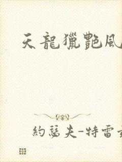 天龙猎艳风流