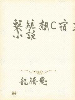 系统想C宿主的小说