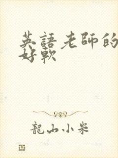 英语老师的兔子好软