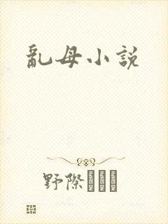 乱母小说
