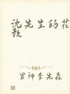 沈先生的花式管教