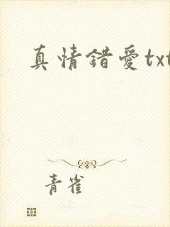 真情错爱txt