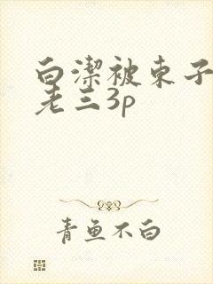 白洁被东子老二老三3p