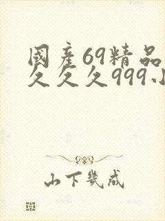 国产69精品久久久久999小说
