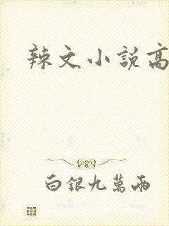 辣文小说高h
