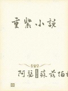 重紫小说