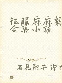 征服麻麻系列大合集小说