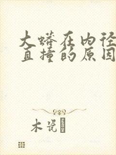 大蟒在内径横冲直撞的原因