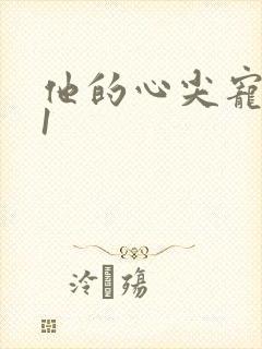 他的心尖宠1v1