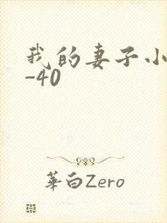 我的妻子小谨1-40