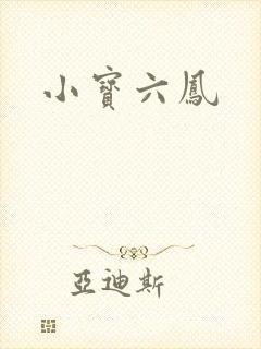 小宝六凤