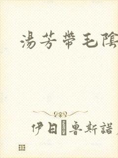 汤芳带毛阴部