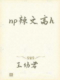 np辣文高h