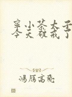 宁小茶太子殿下今天破戒了吗免费阅读