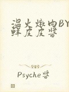 温火炖肉BY海鲜皮皮酱