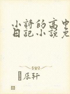 小诗的高中成长日记小说免费阅读