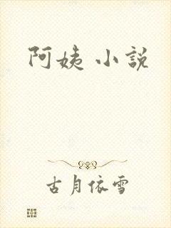 阿姨 小说