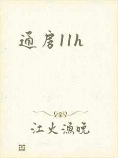 通房11h