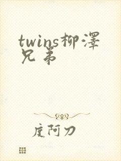twins柳泽兄弟