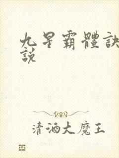 九星霸体诀 小说