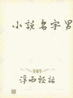 小说名字男生