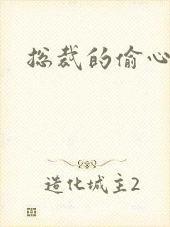 总裁的偷心娇妻