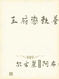 王府惩教养日常