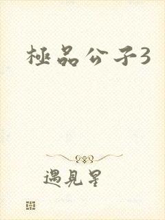 极品公子3