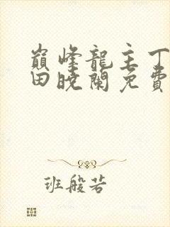 巅峰龙主丁长顺田晓兰免费阅读