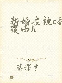 新婚夜被c翻云覆雨h