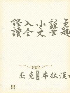 锋入小说免费阅读全文笔趣阁