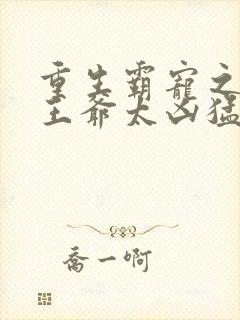 重生霸宠之摄政王爷太凶猛