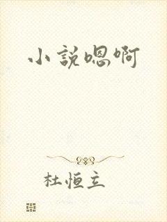 小说嗯啊