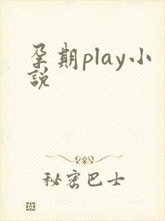 孕期play小说