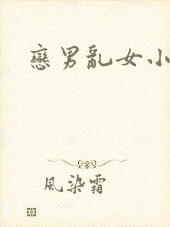 恋男乱女小说