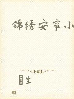 锦绣安宁小说
