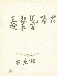 王熙凤菊花门初迎来客