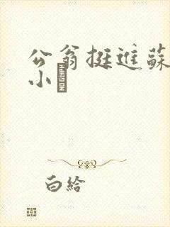 公翁挺进苏玥的小泬
