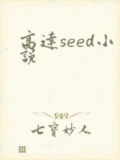 高达seed小说
