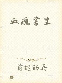 血魂书生