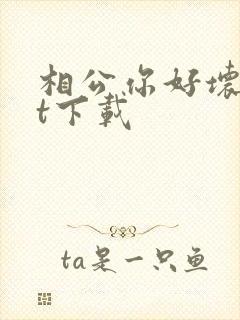 相公你好坏txt下载