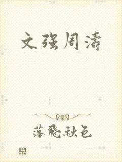 文强周涛