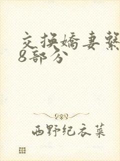 交换娇妻系列38部分