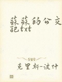 苏苏的公交车日记txt