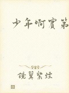 少年啊宾第二部