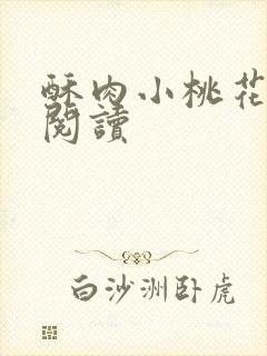 酥肉小桃花全文阅读