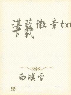 湛蓝徽章txt下载